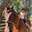 HORSE LOVERS